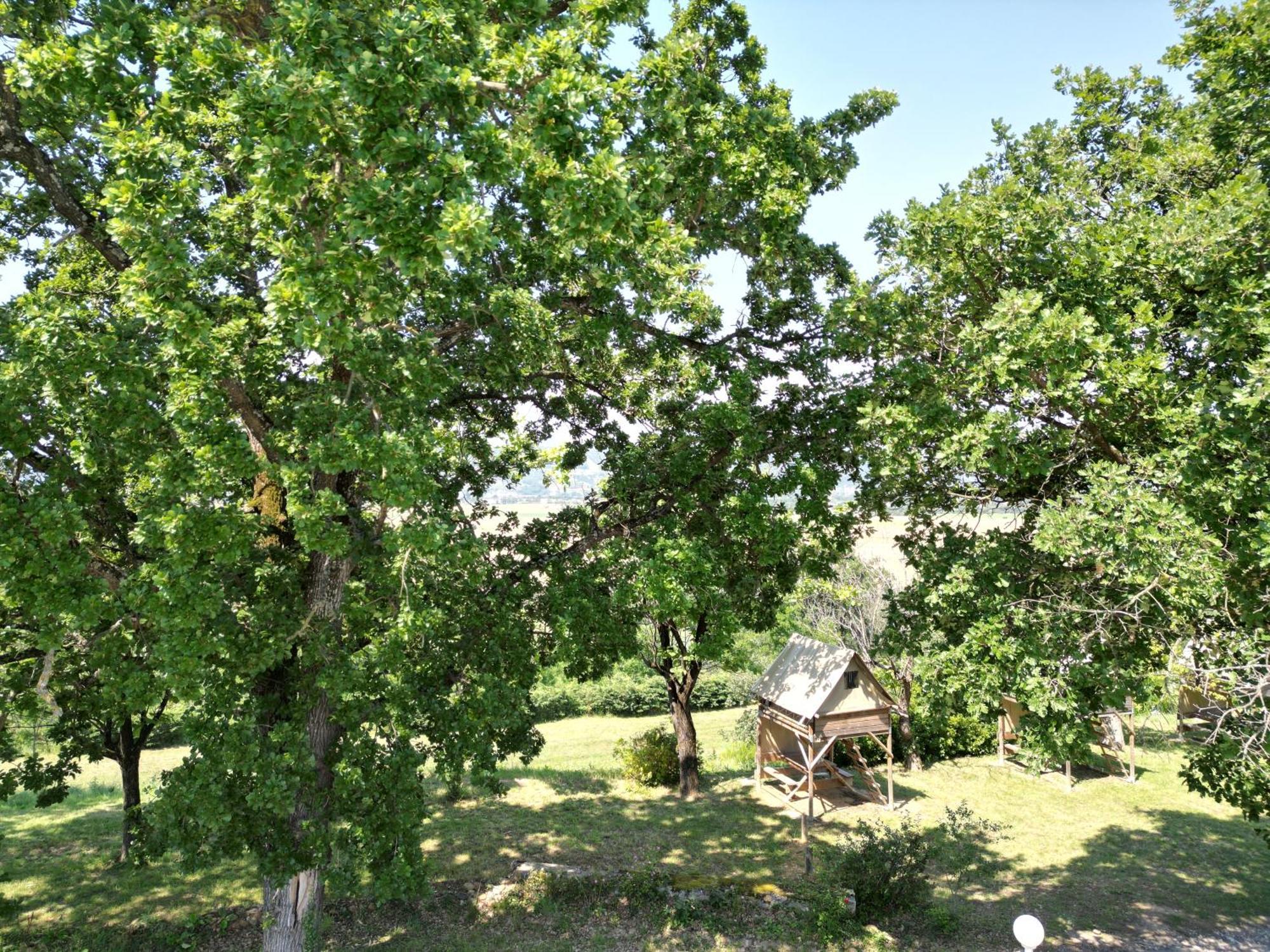 אלבון Camping Domaine De Senaud מראה חיצוני תמונה